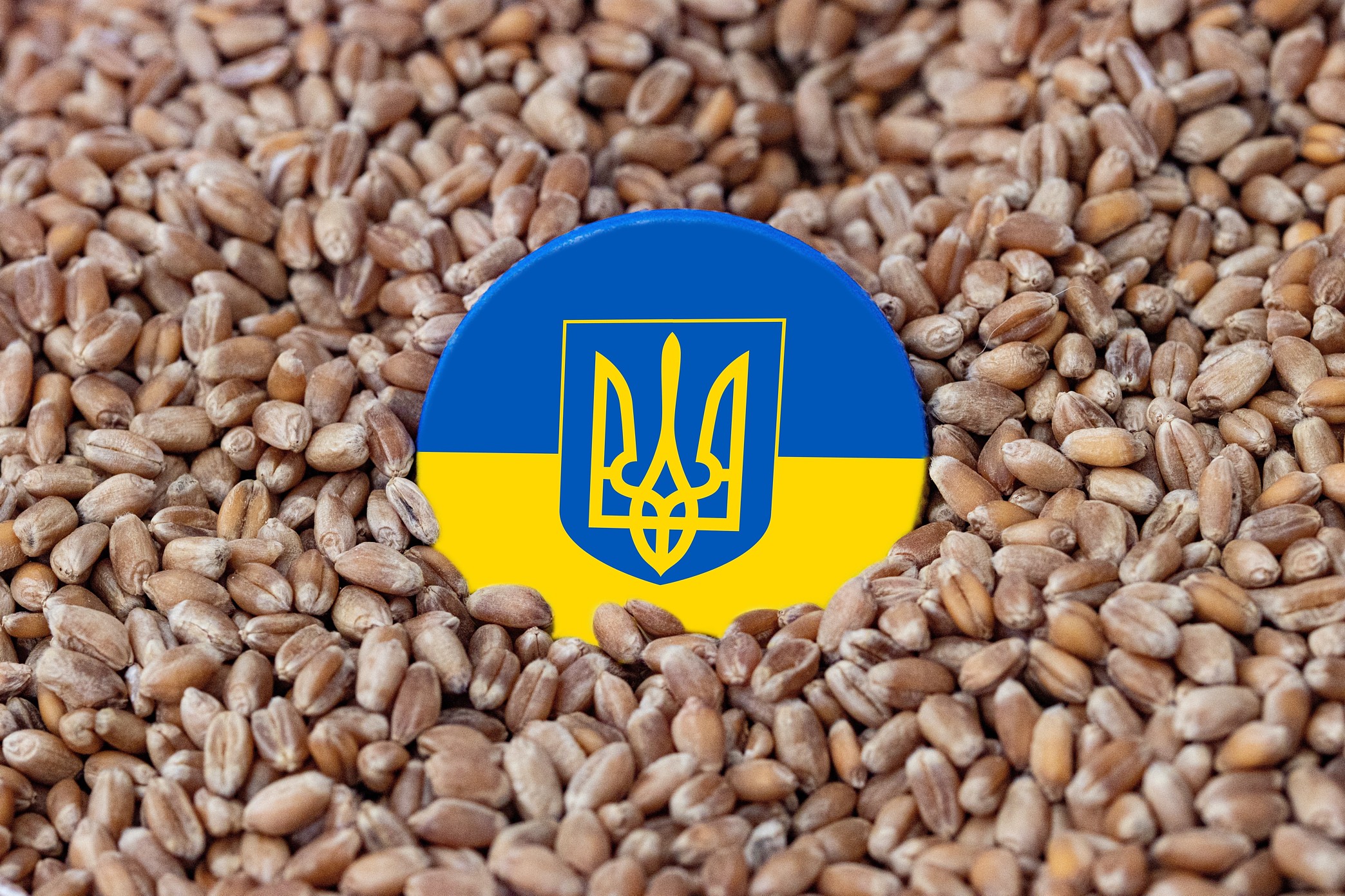 Accord céréalier Oleg Nesterenko